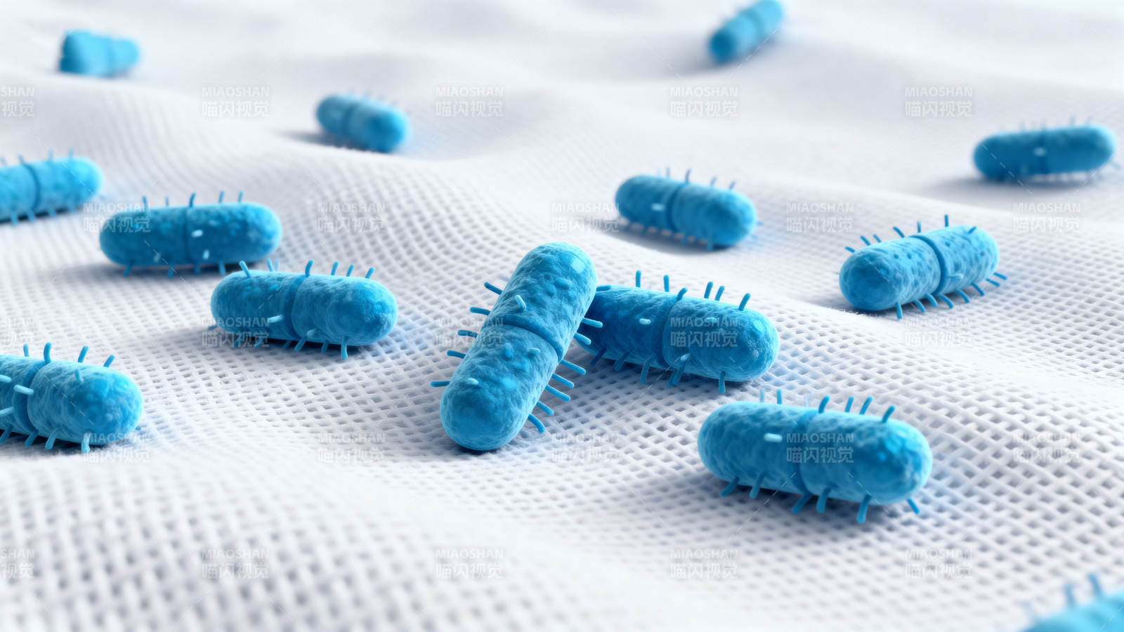 蓝色细菌微观结构展示图片