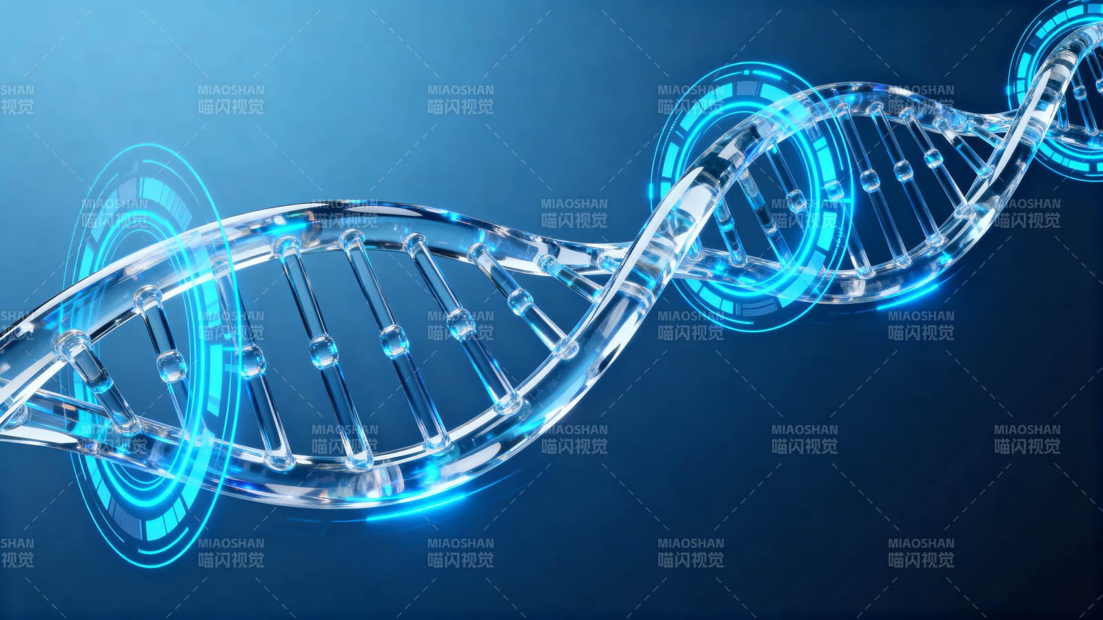 科技感DNA双螺旋结构图片