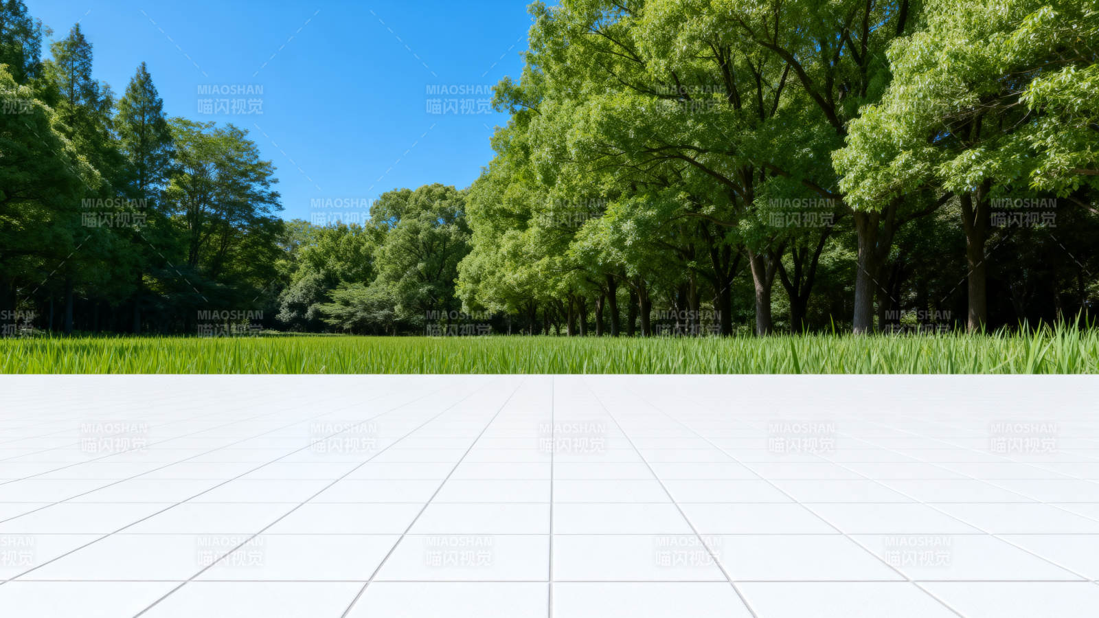 白色地面与绿色树林图片