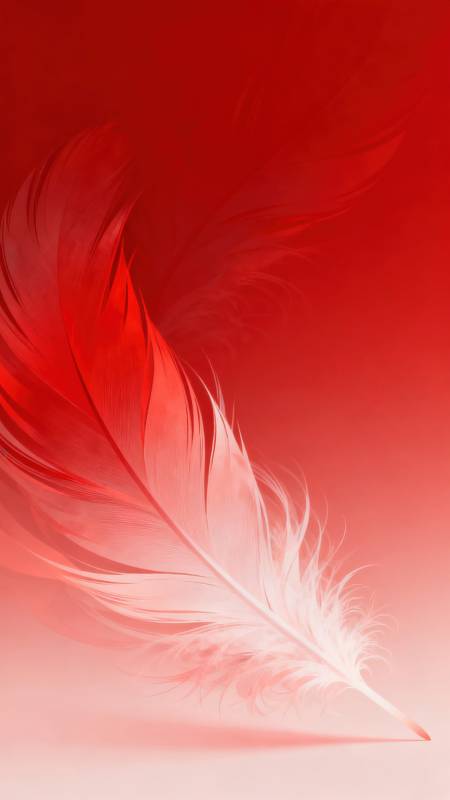 红色羽毛渐变背景图片