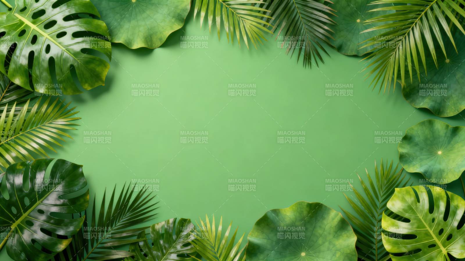 热带植物绿色背景边框图片