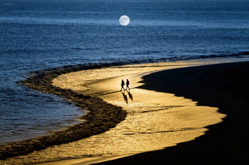 月光下的海滩漫步图片