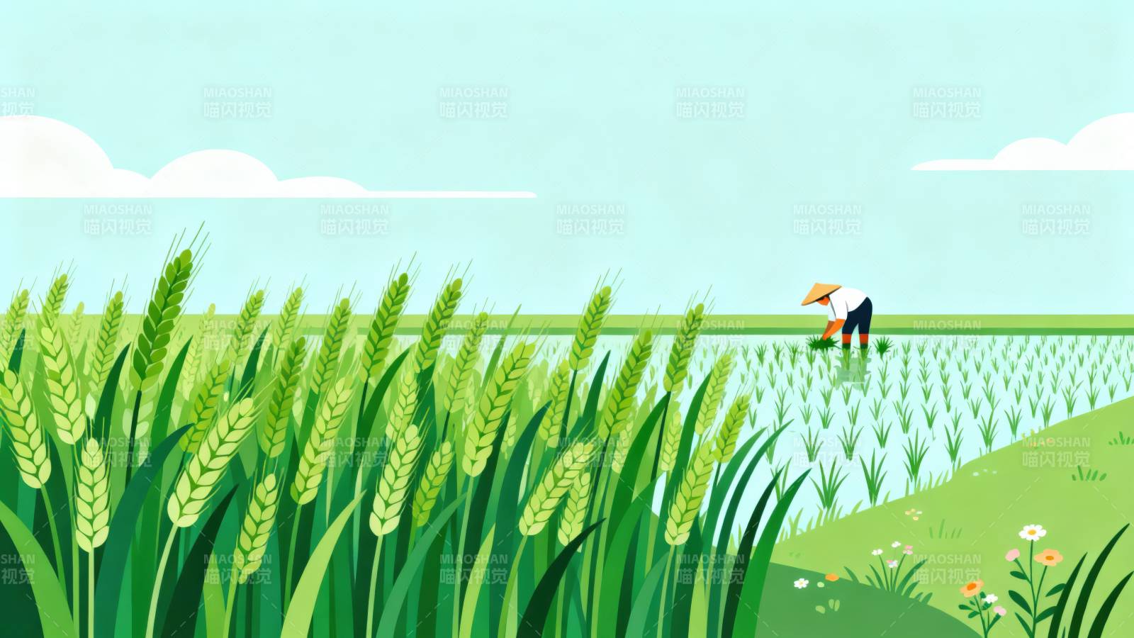 田间劳作稻田农忙图片