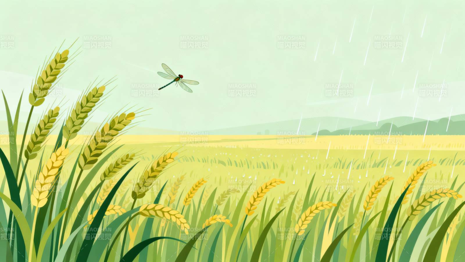 麦田蜻蜓细雨图片