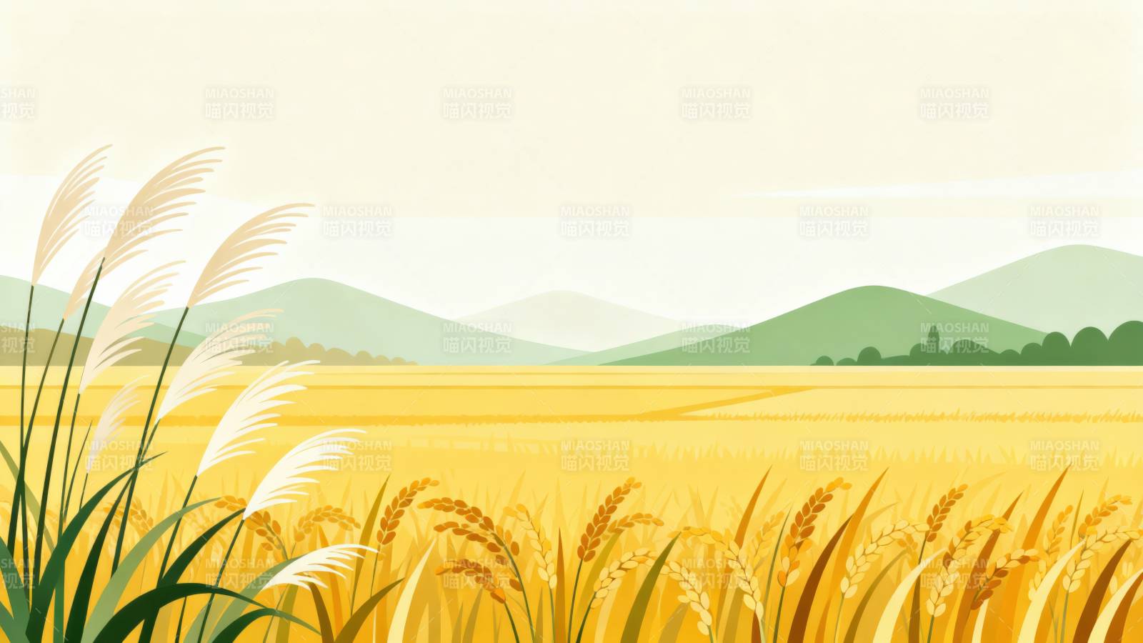 金黄稻田丰收景象图片