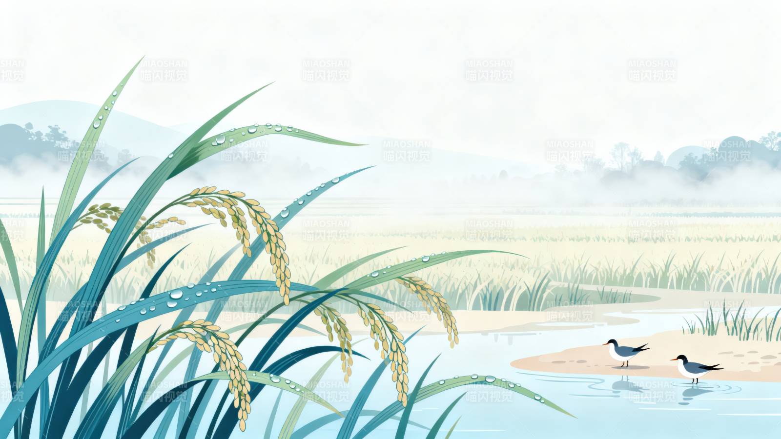 稻田晨雾水鸟栖息图片