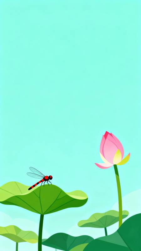 蜻蜓荷花夏日池塘图片