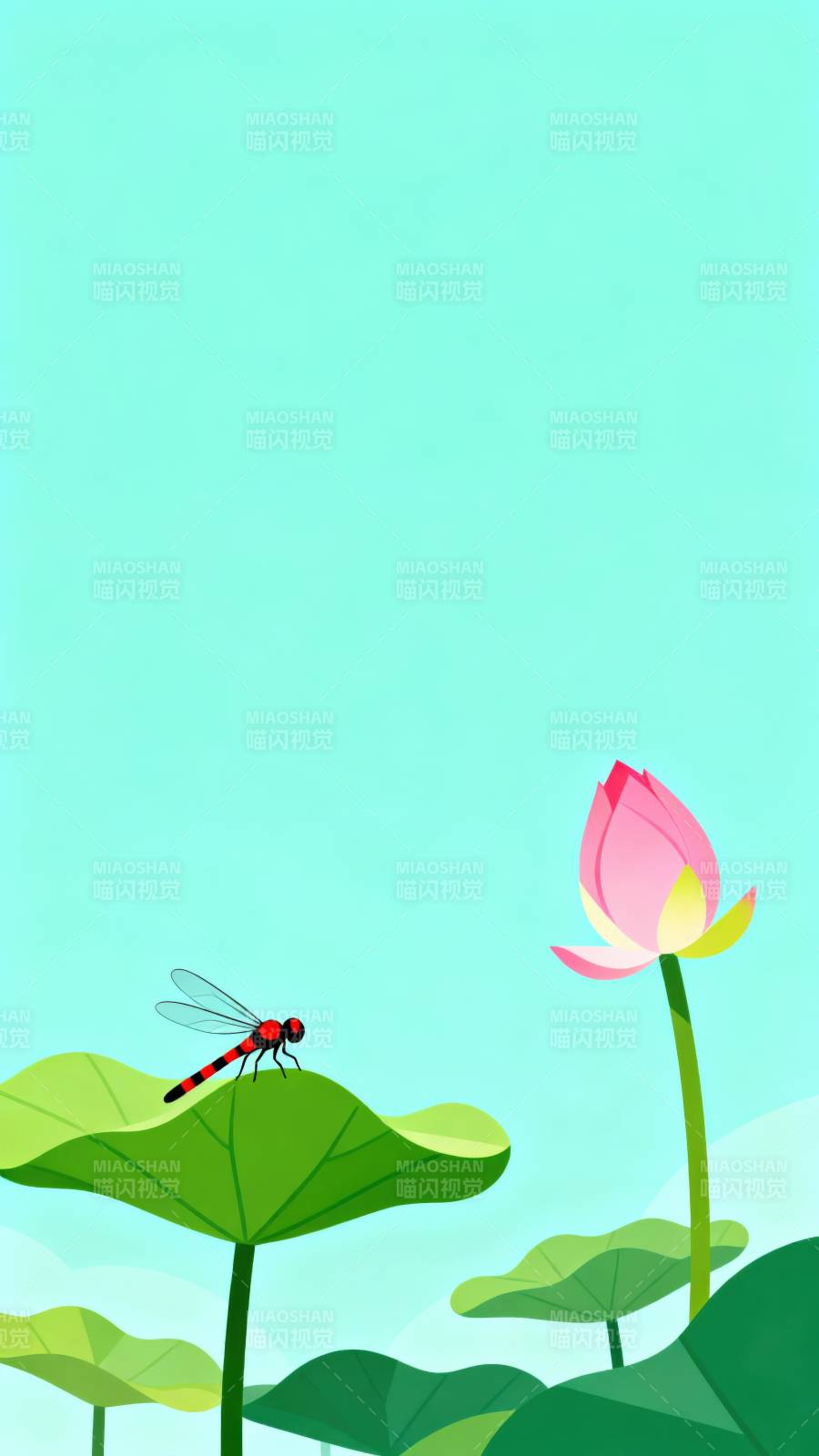 蜻蜓荷花夏日池塘图片