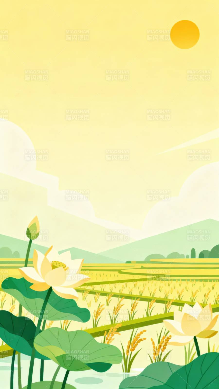 夏日稻田与荷花图片