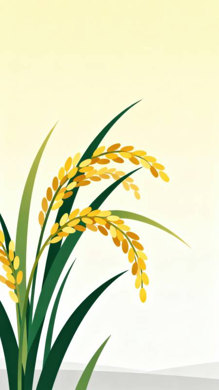 金黄稻谷丰收图图片