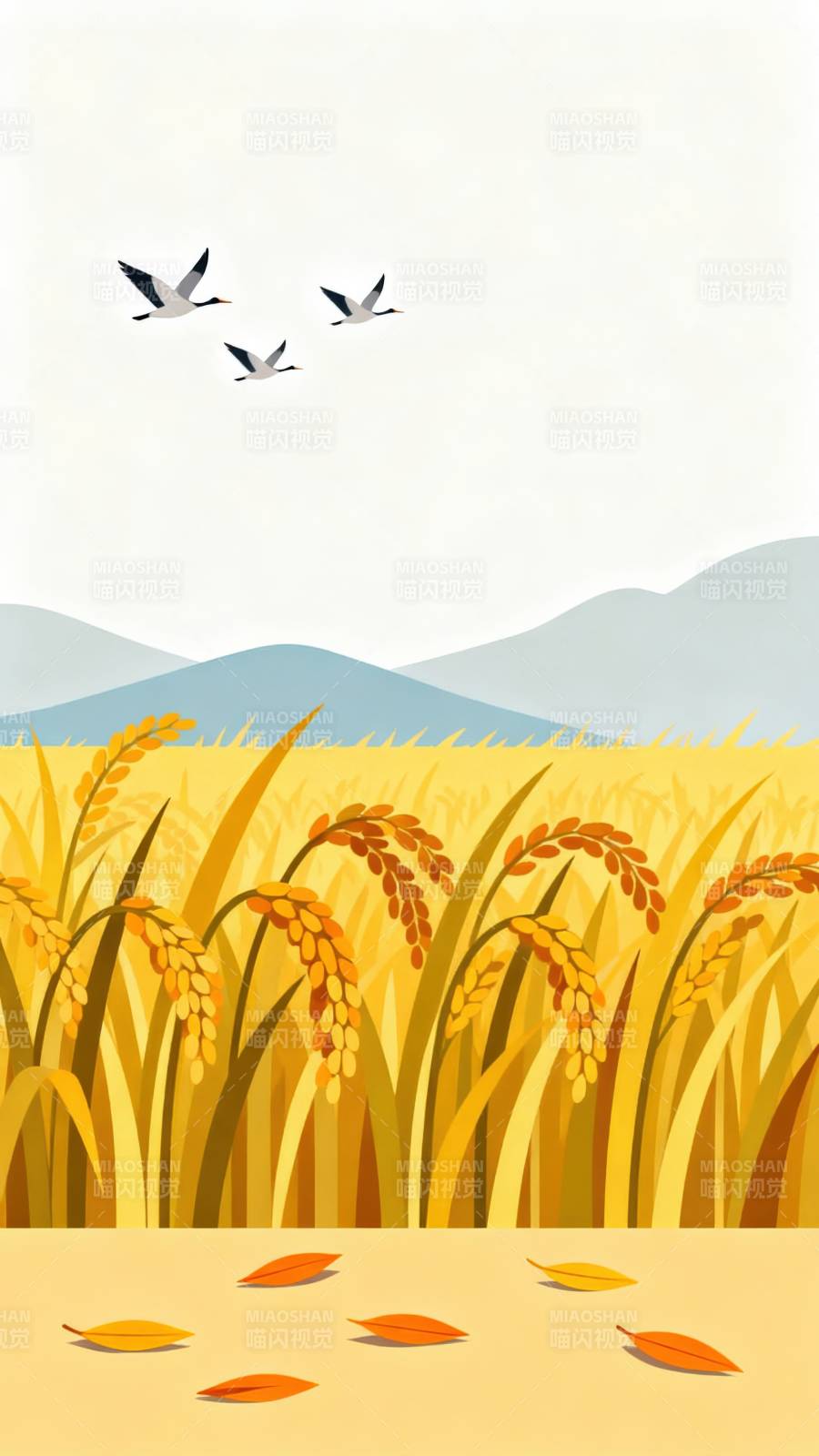 金黄稻田丰收景象图片