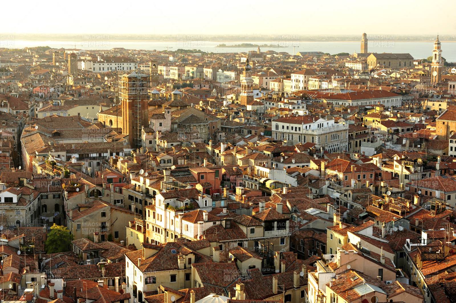 意大利城市风光 屋顶连绵图片