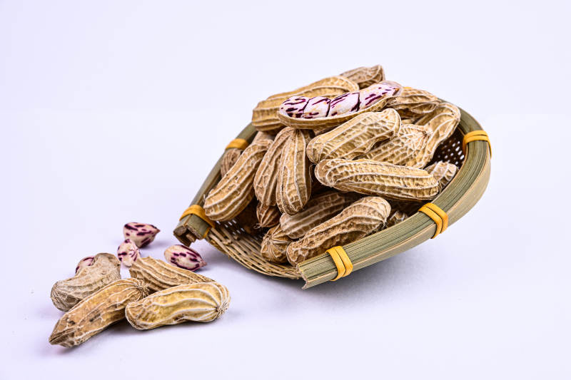 竹篮里的饱满带壳多彩紫纹花生特写图片