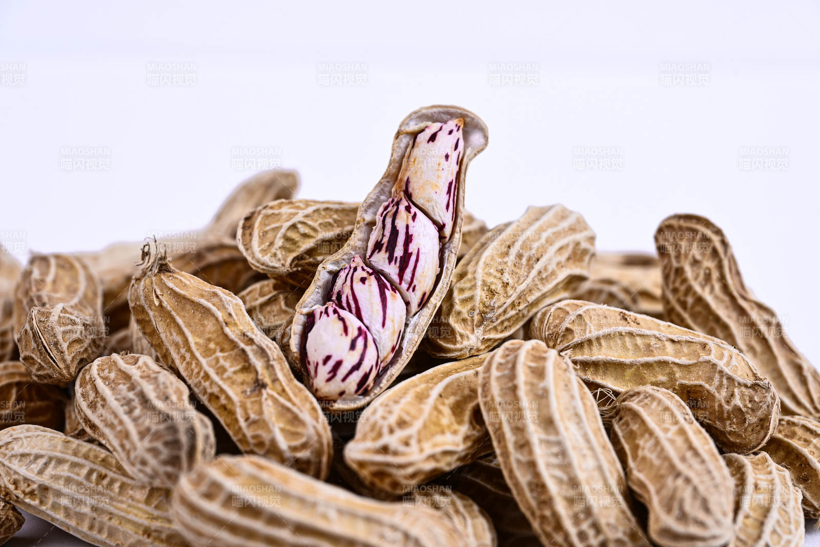 多彩纹路的新鲜紫纹花生特写图片