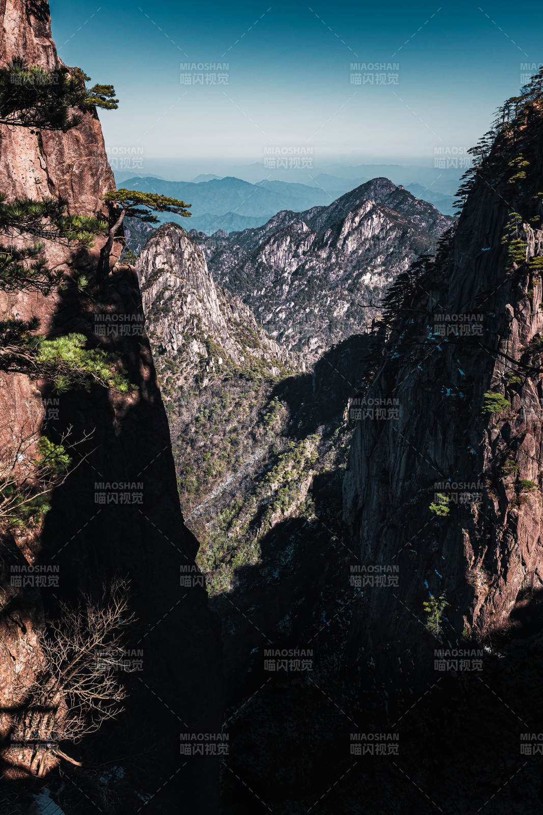 山峦叠嶂 松影幽深  黄山图片