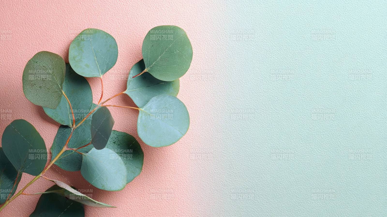 绿叶与渐变背景的静物构图图片