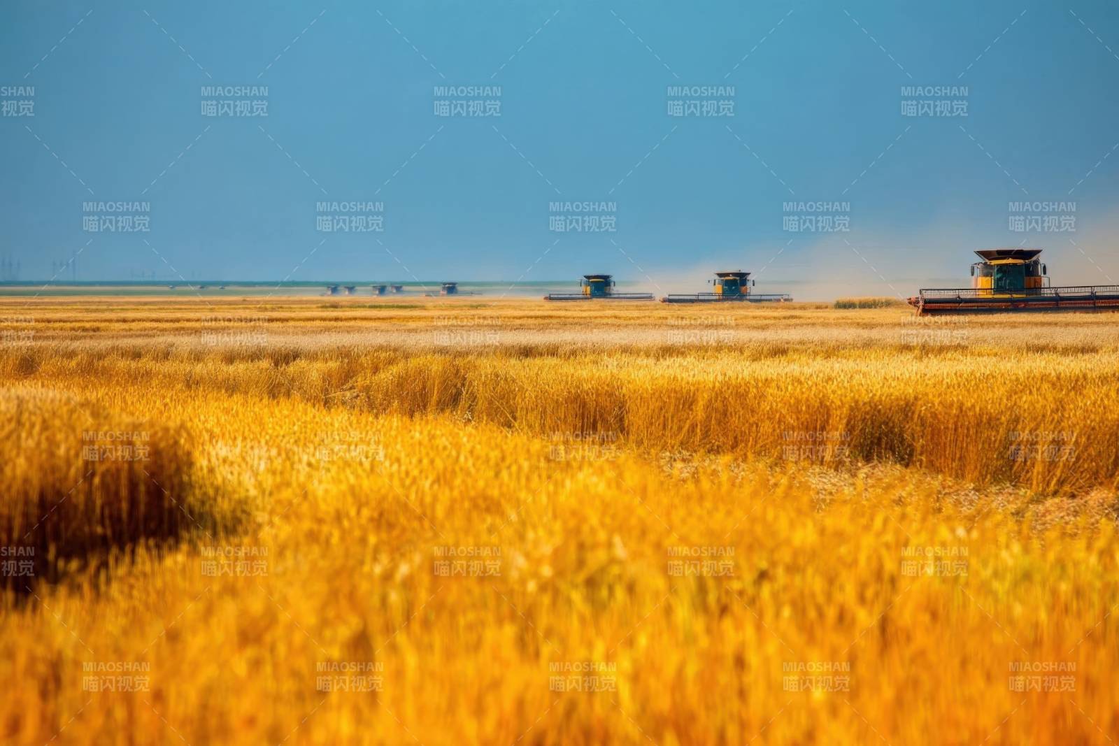丰收季节麦田收割图片