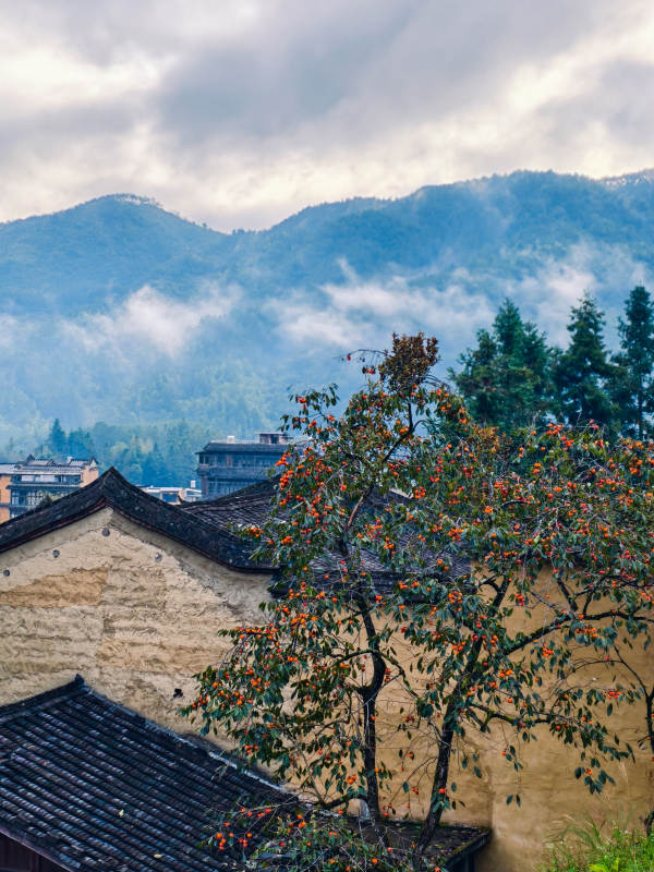 宁德龙潭古镇秋色图片