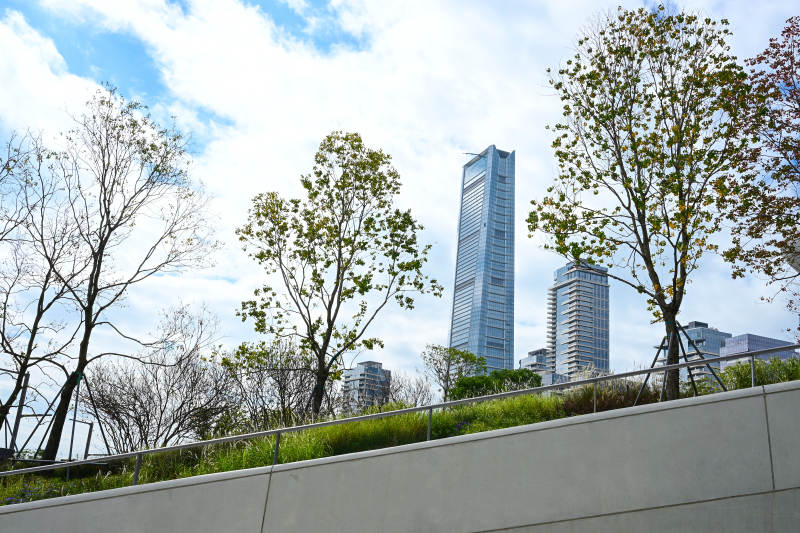 深圳文化广场现代建筑与自然景观图片