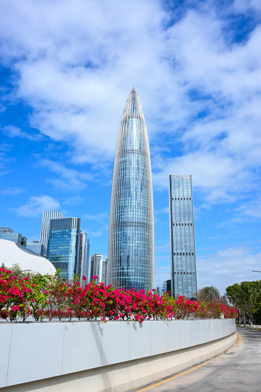 蓝天白云下的深圳现代建筑春笋大厦城市风光图片