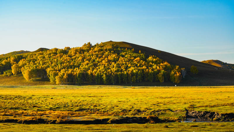 乌兰布统秋日草原风光图片