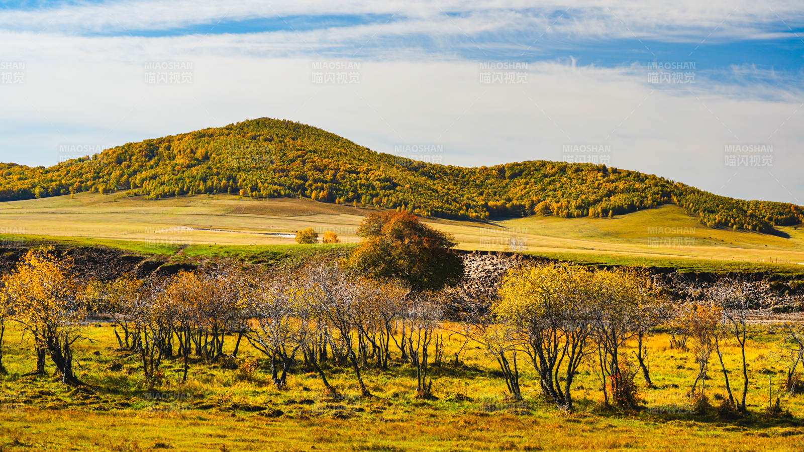 乌兰布统秋日山野风光图片
