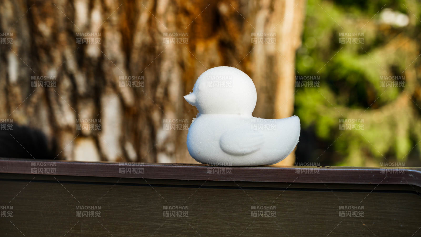 颐和园白鸭静坐树影间图片