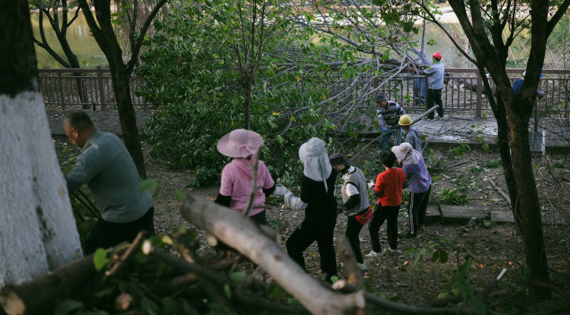 园中劳作的人们图片