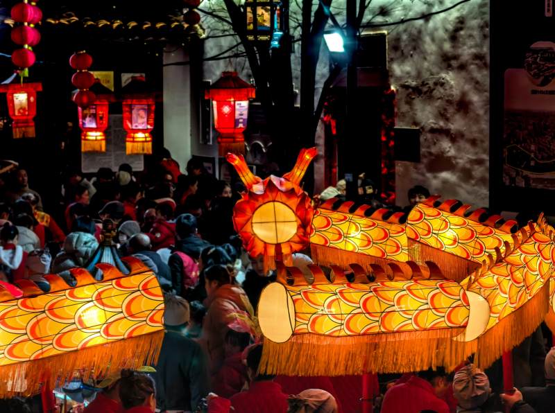 龙年灯会巨型龙形花灯 浙江图片