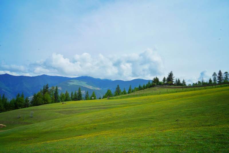 朝山坪绿野山峦云影图片