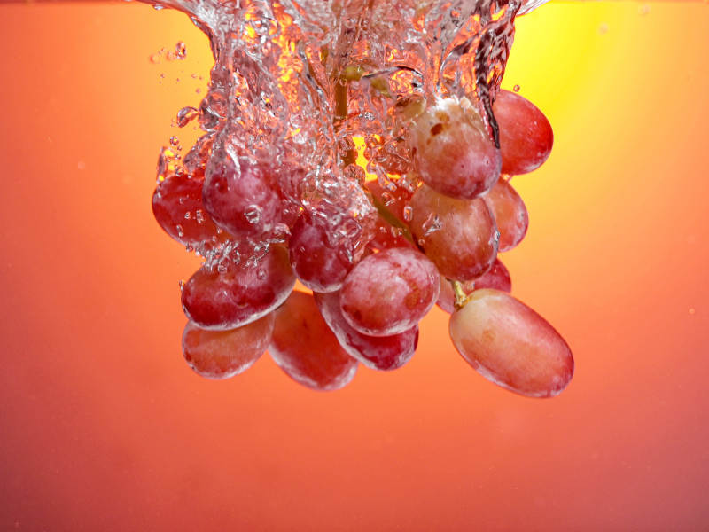 红提落水瞬间特写图片