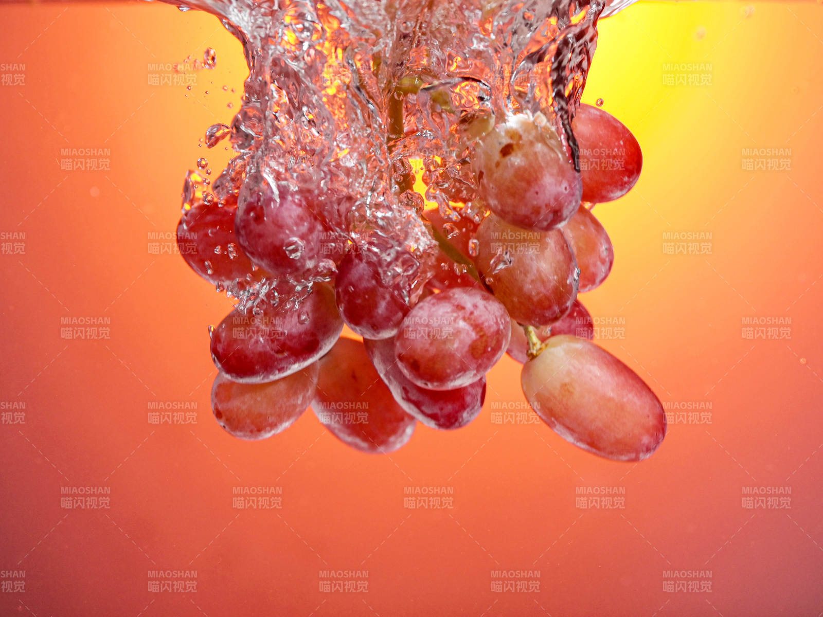 红提落水瞬间特写图片