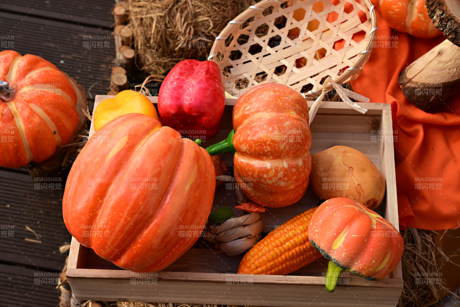 秋日丰收南瓜摆拍图片