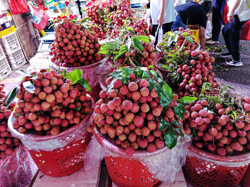 新鲜荔枝上市图片