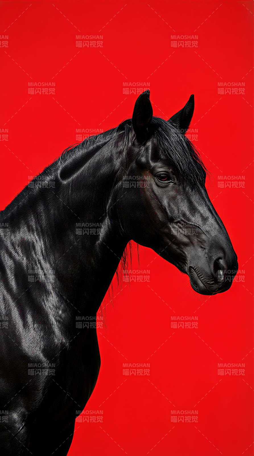 黑骏马红背景图片