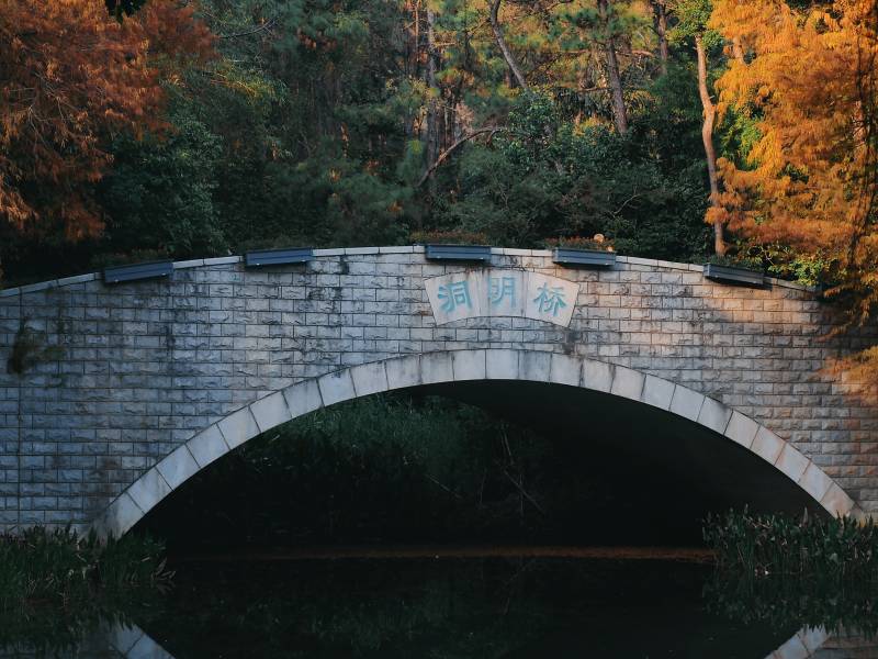 洞月桥秋景图片