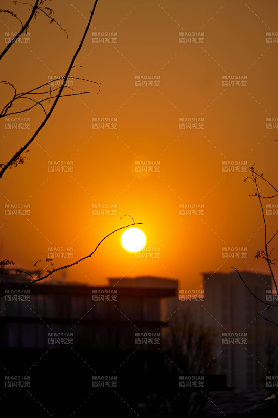 夕阳映城影图片