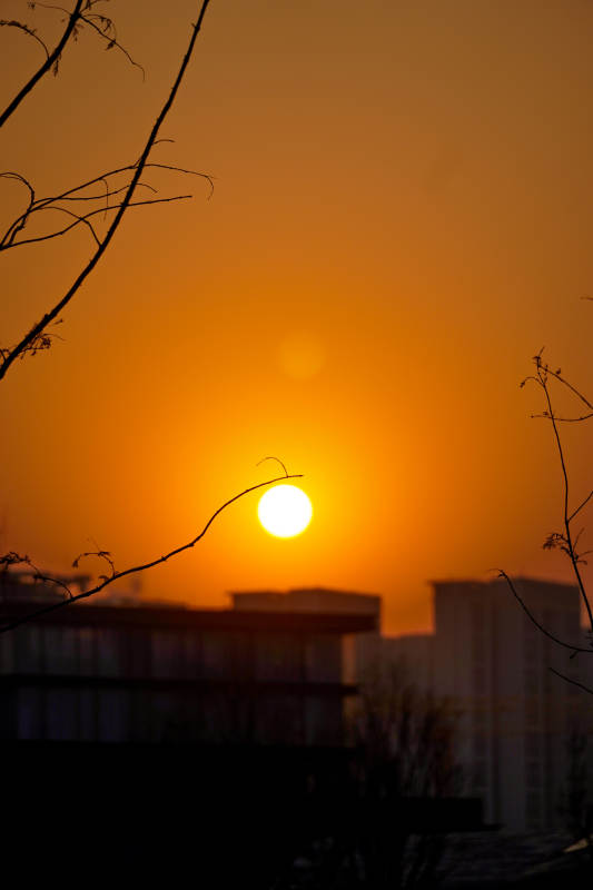 夕阳映城影图片