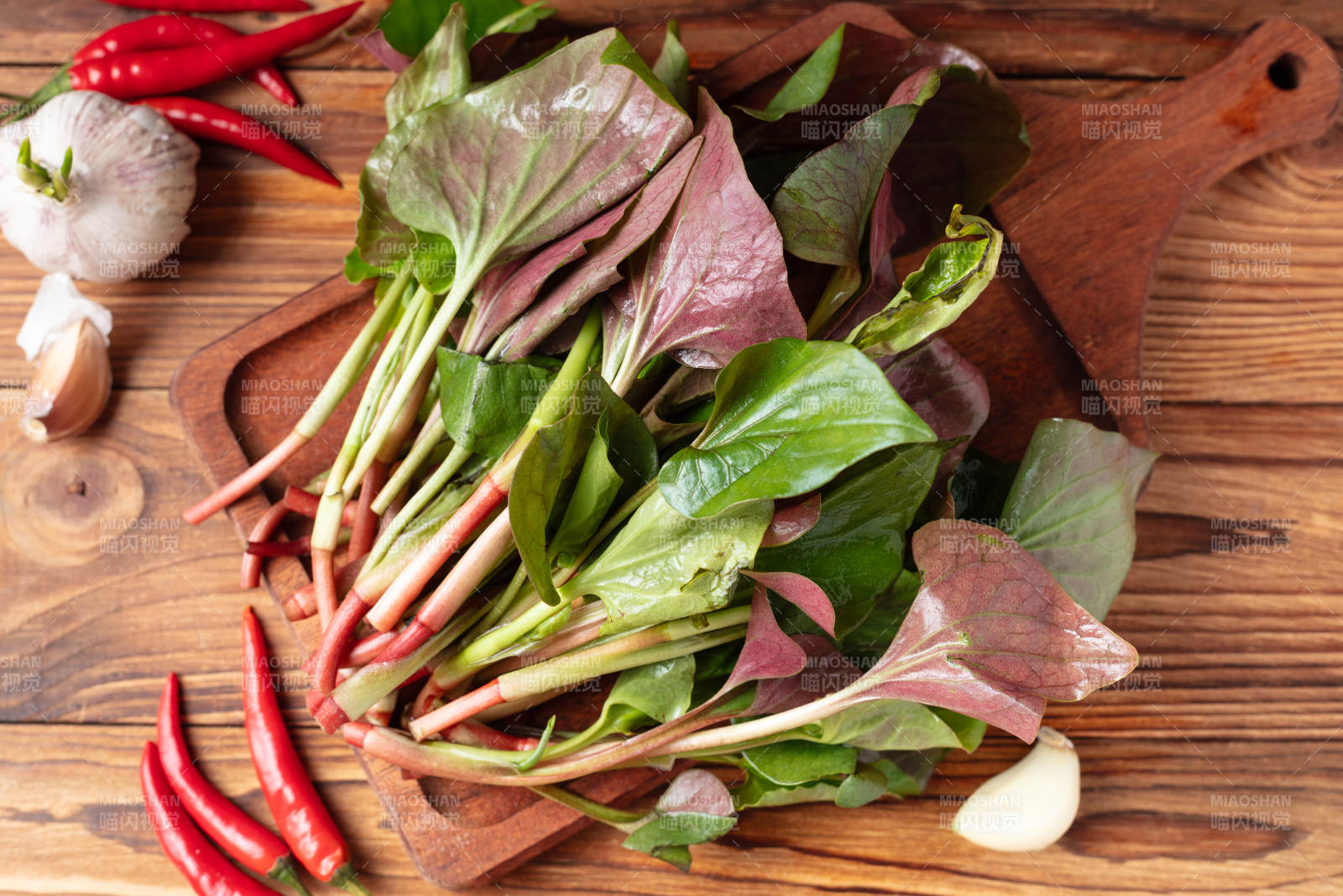 新鲜鱼腥草图片