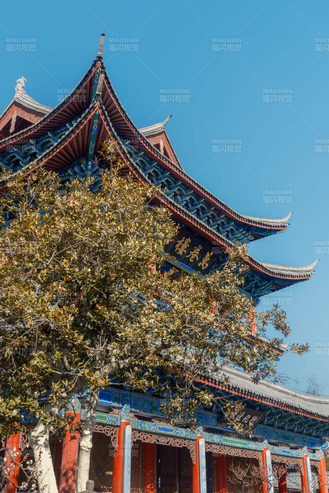 云南丽江木府万卷楼古建筑秋景图片