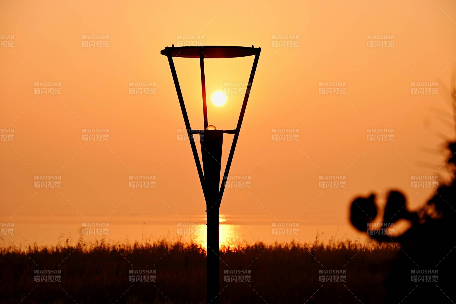 镶嵌在华灯里的朝阳图片