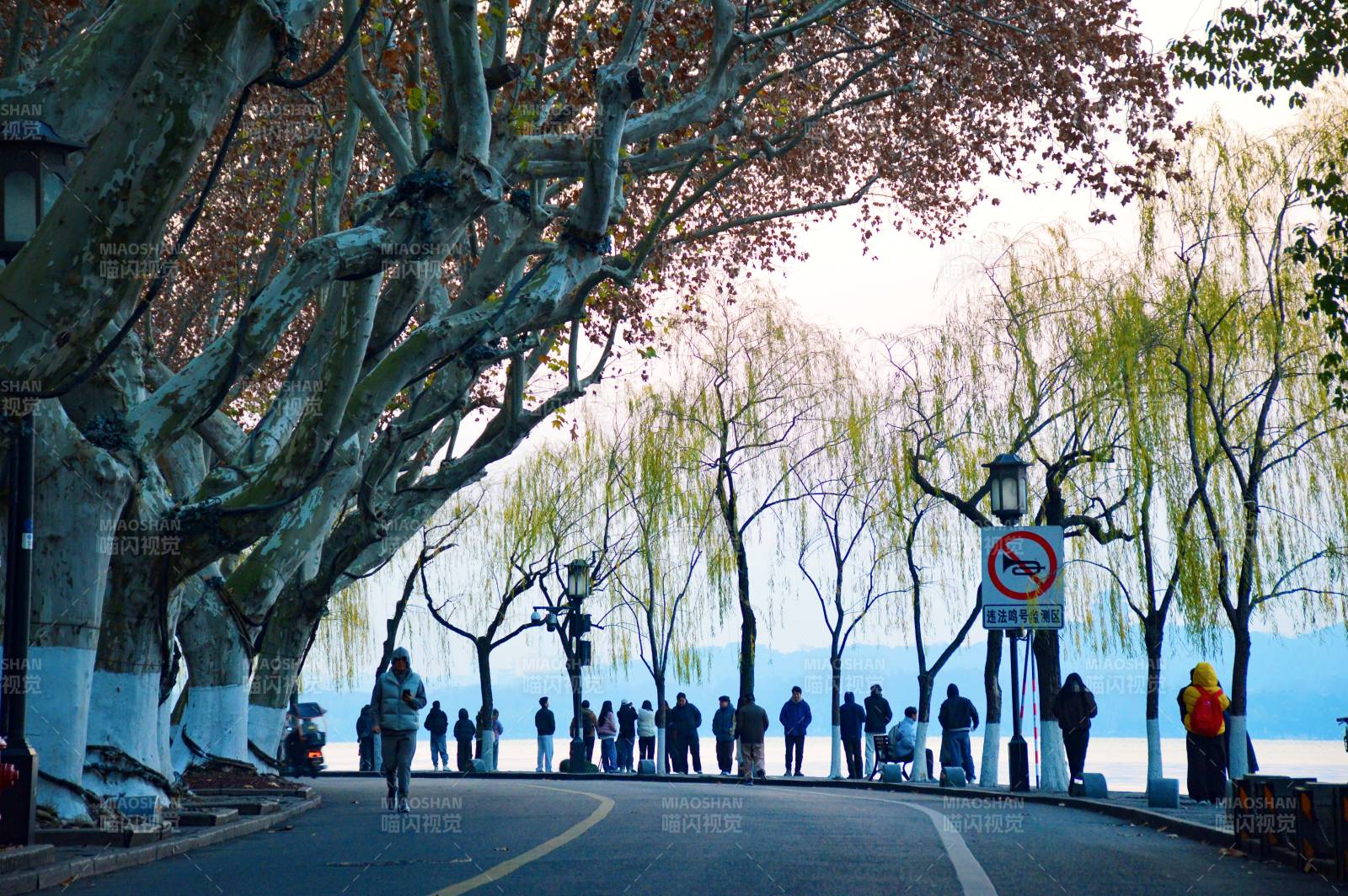 杭州西湖孤山路西冷桥图片