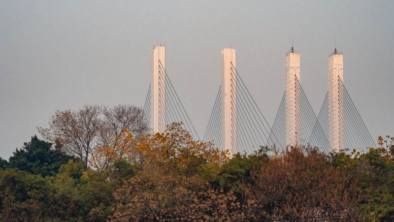 李家沱大桥四塔斜拉桥秋景图片