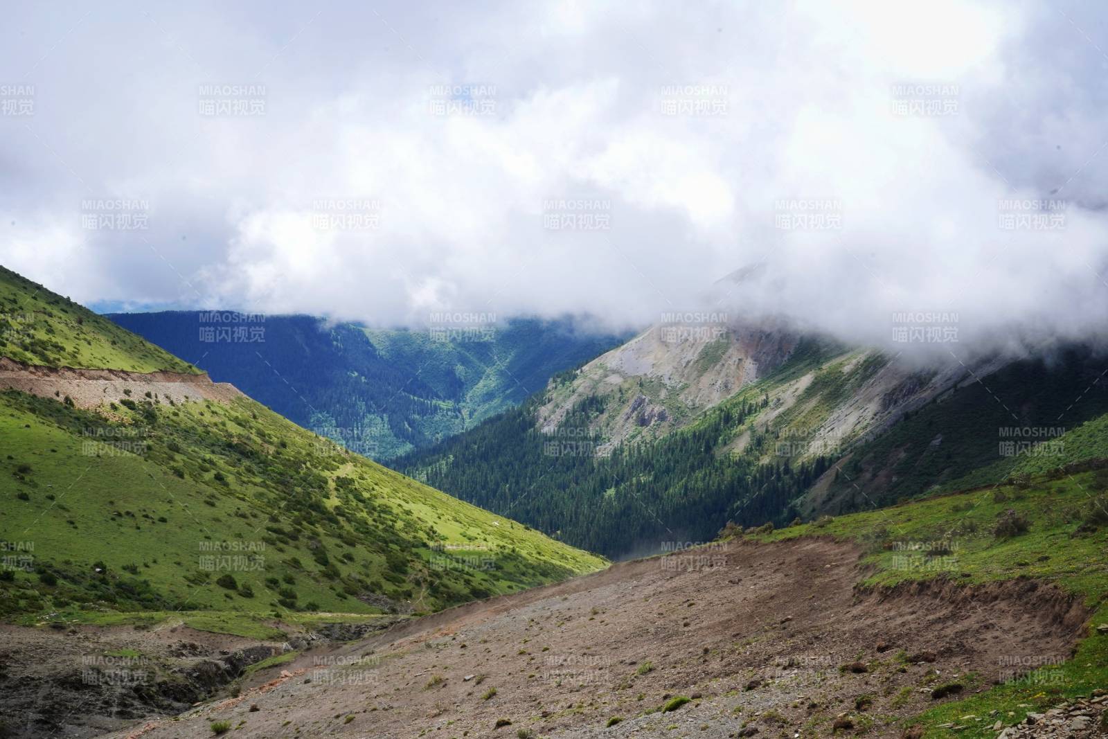 川西云雾缭绕山谷间图片