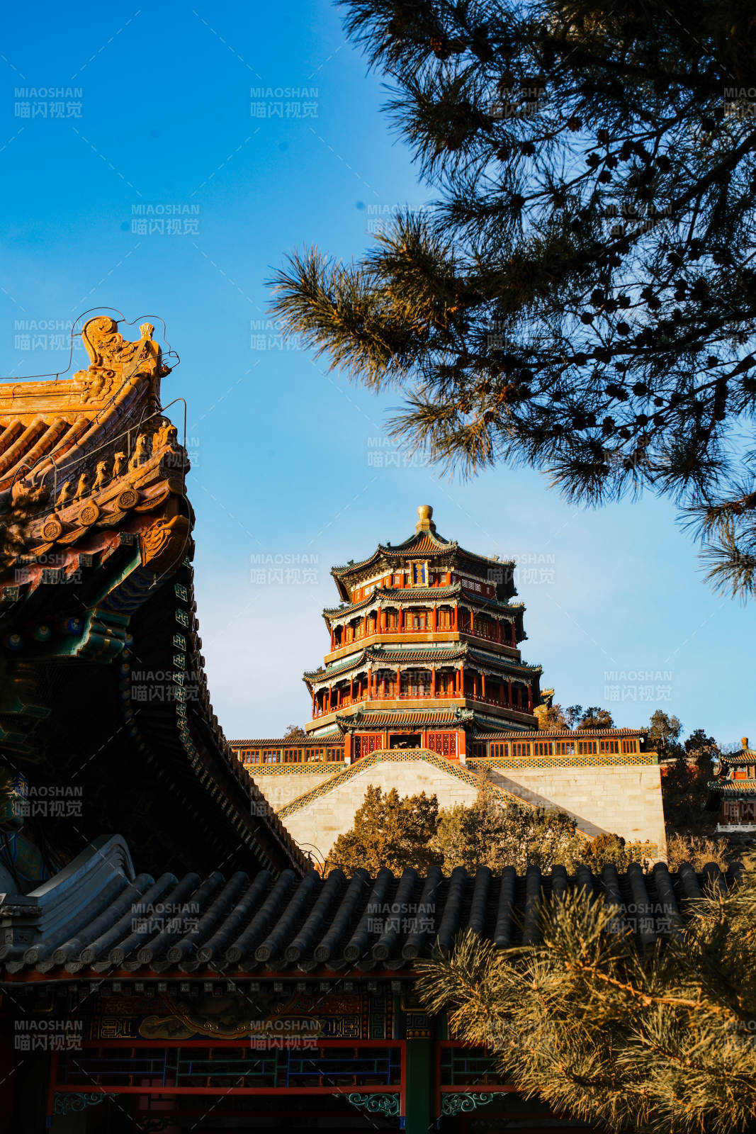 颐和园佛香阁 古塔映松 晴空如洗图片