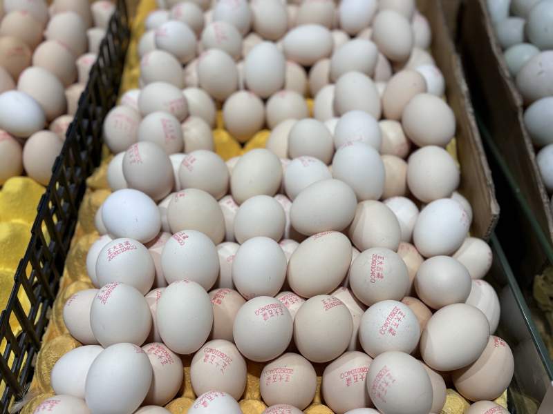 整齐排列的鸡蛋图片