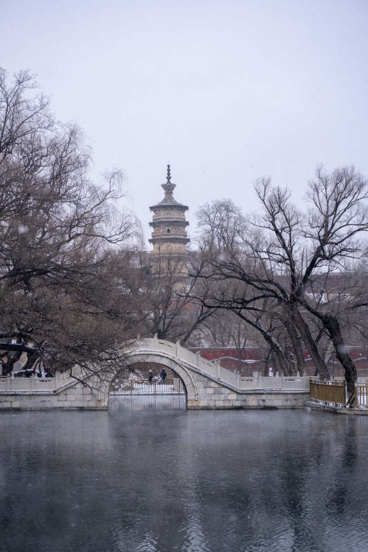 涞源县拒马源头雪中古塔映桥影图片