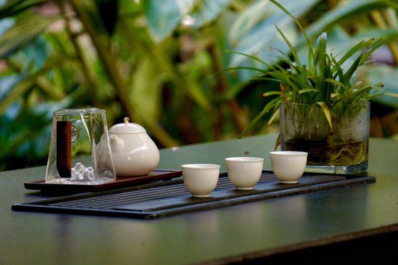 茶席静谧 绿意盎然图片