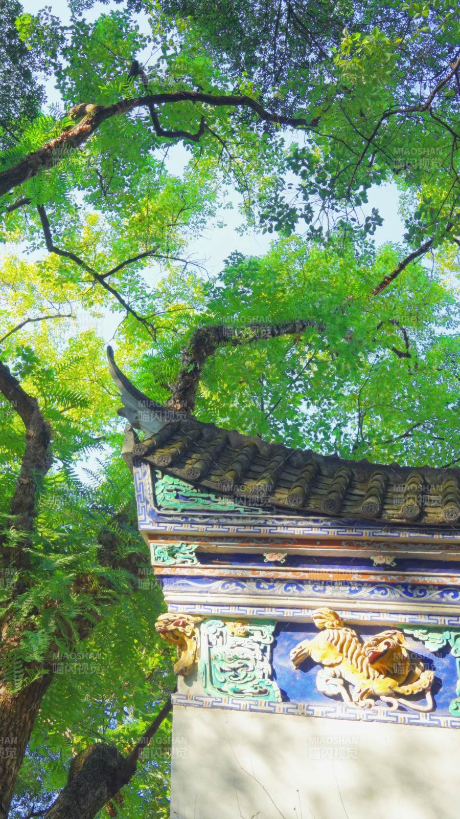 古檐绿树映蓝天图片