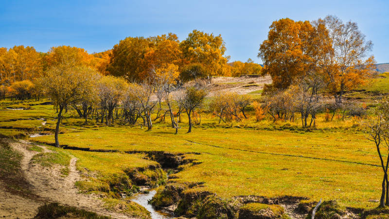 秋日田园风光图片